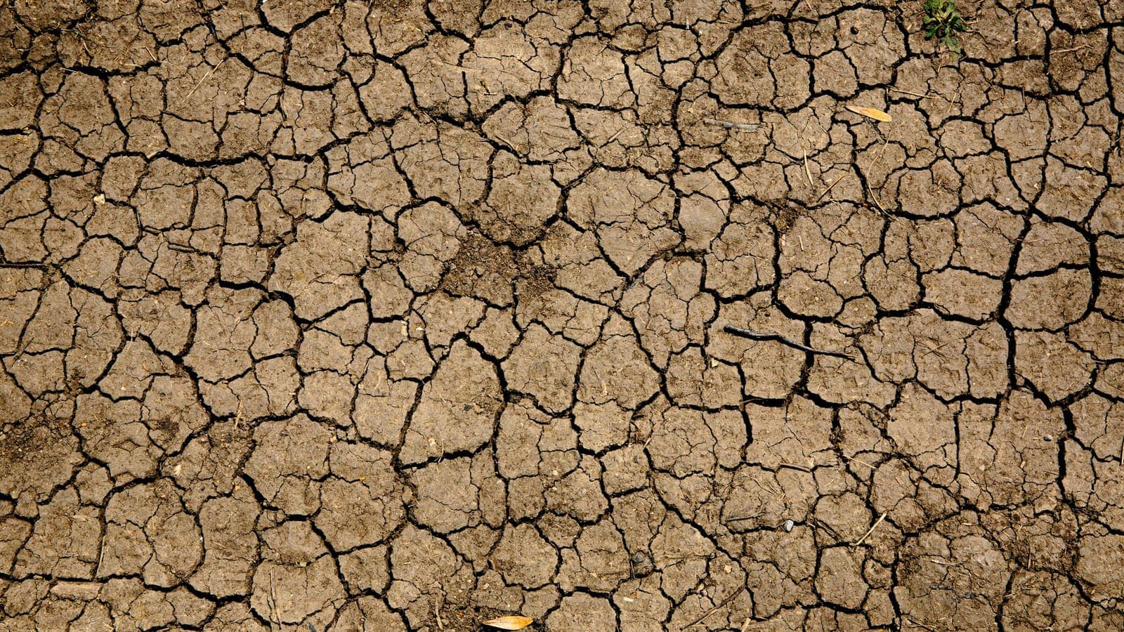 Dry, cracked earth stretching to the horizon — the famine half of a feast-or-famine pipeline