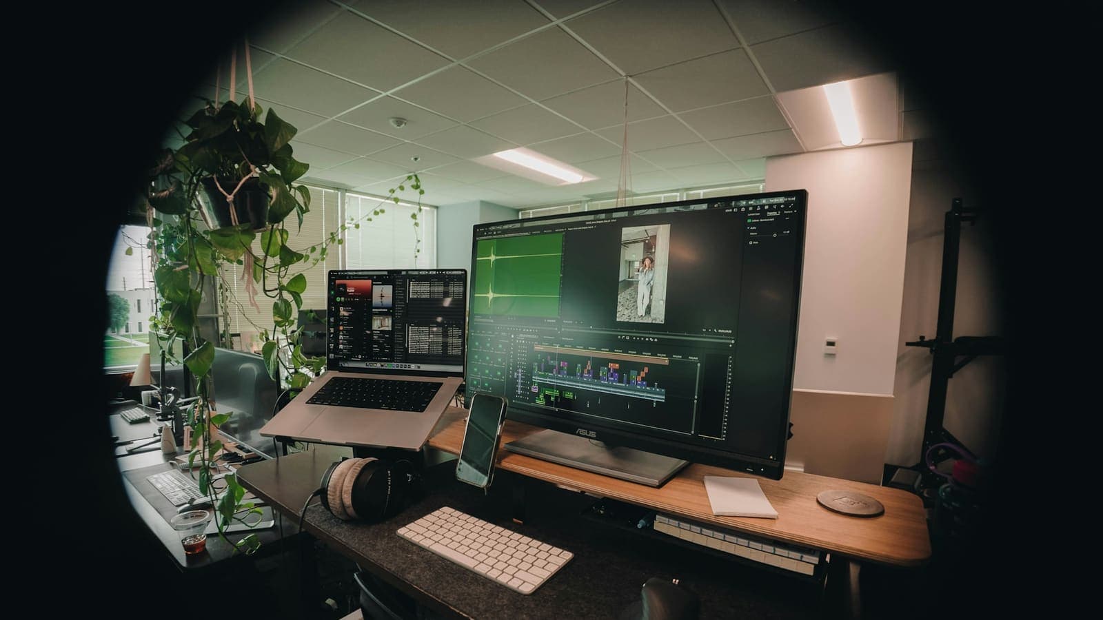 A creative studio workstation with multiple monitors and plants