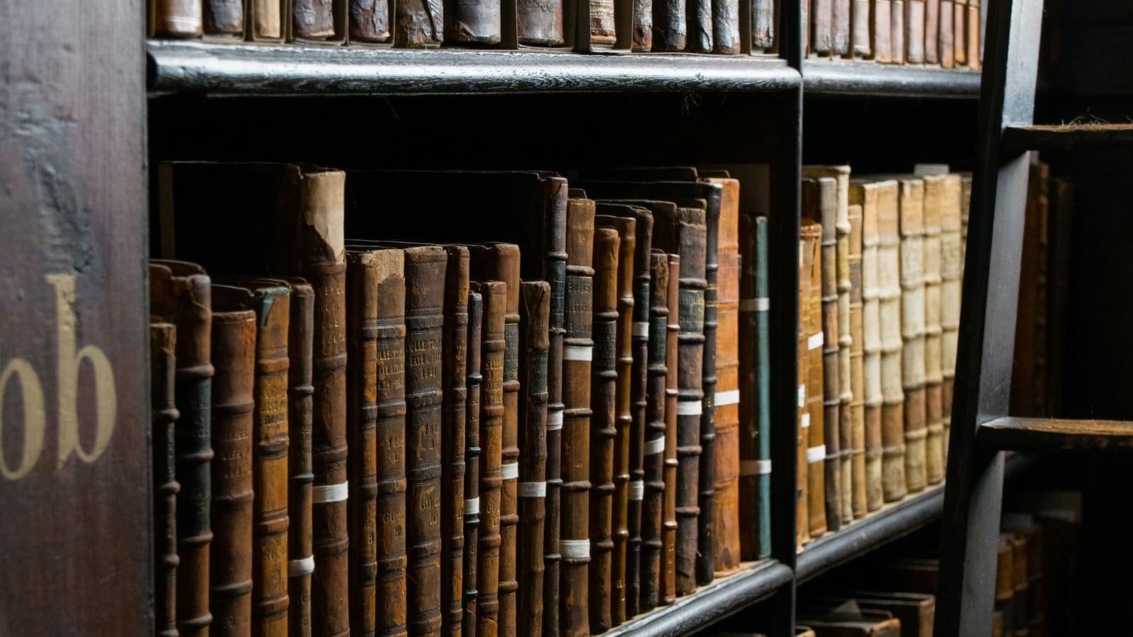 رفوف كتب قانونية في مكتبة مع سلّم متحرك